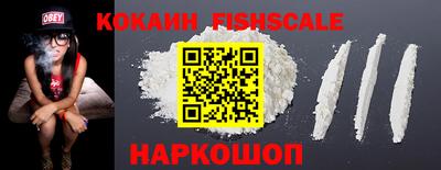 индика Донецк